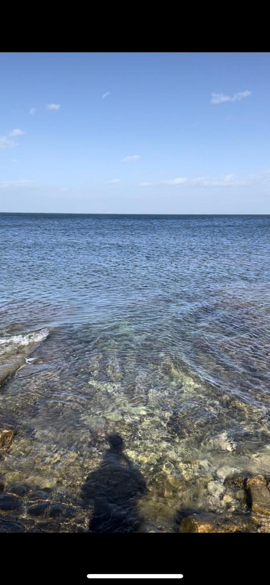 La Villetta Sul Mare บารี ภายนอก รูปภาพ